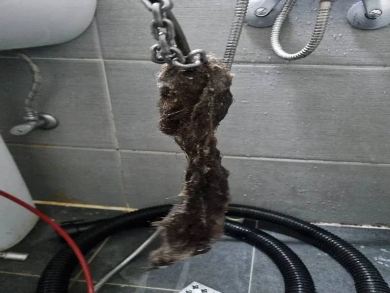 광명변기막힘, 계절과 시기마다 달라지는 원인